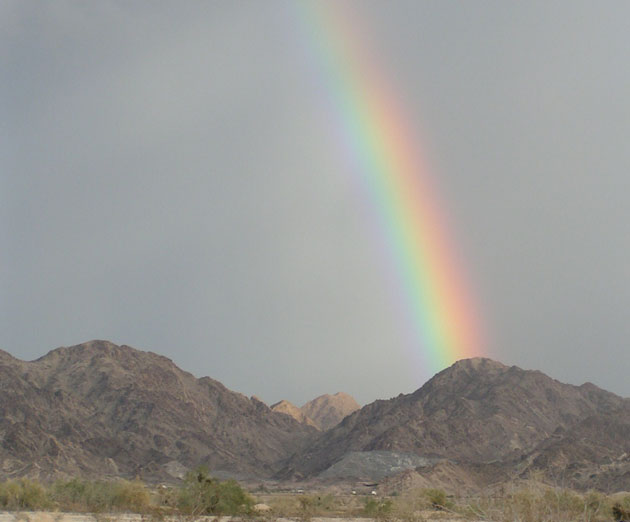 Desert Rainbow thumbnail