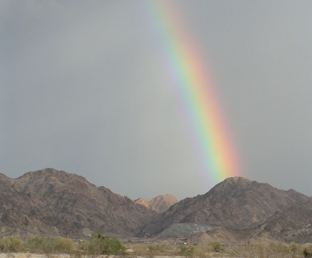 Desert Rainbow