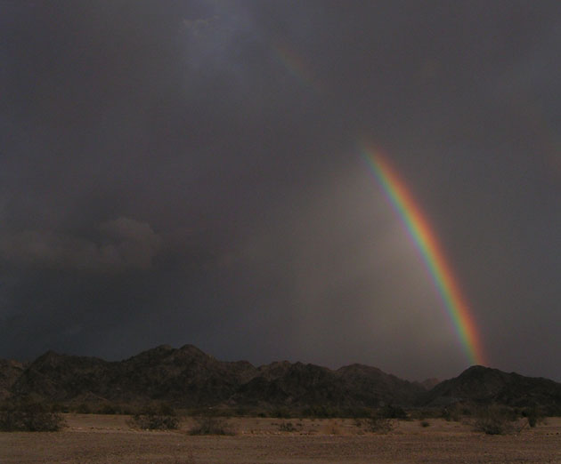 Rainbow In Darkness