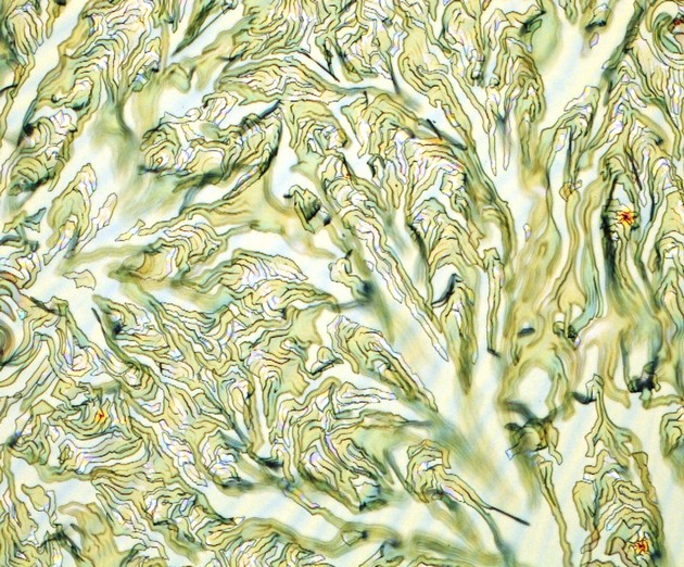 Sol-Gel Film